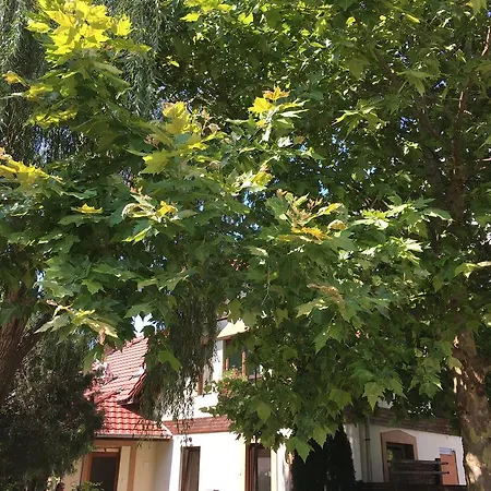 Apartment Vargapartman